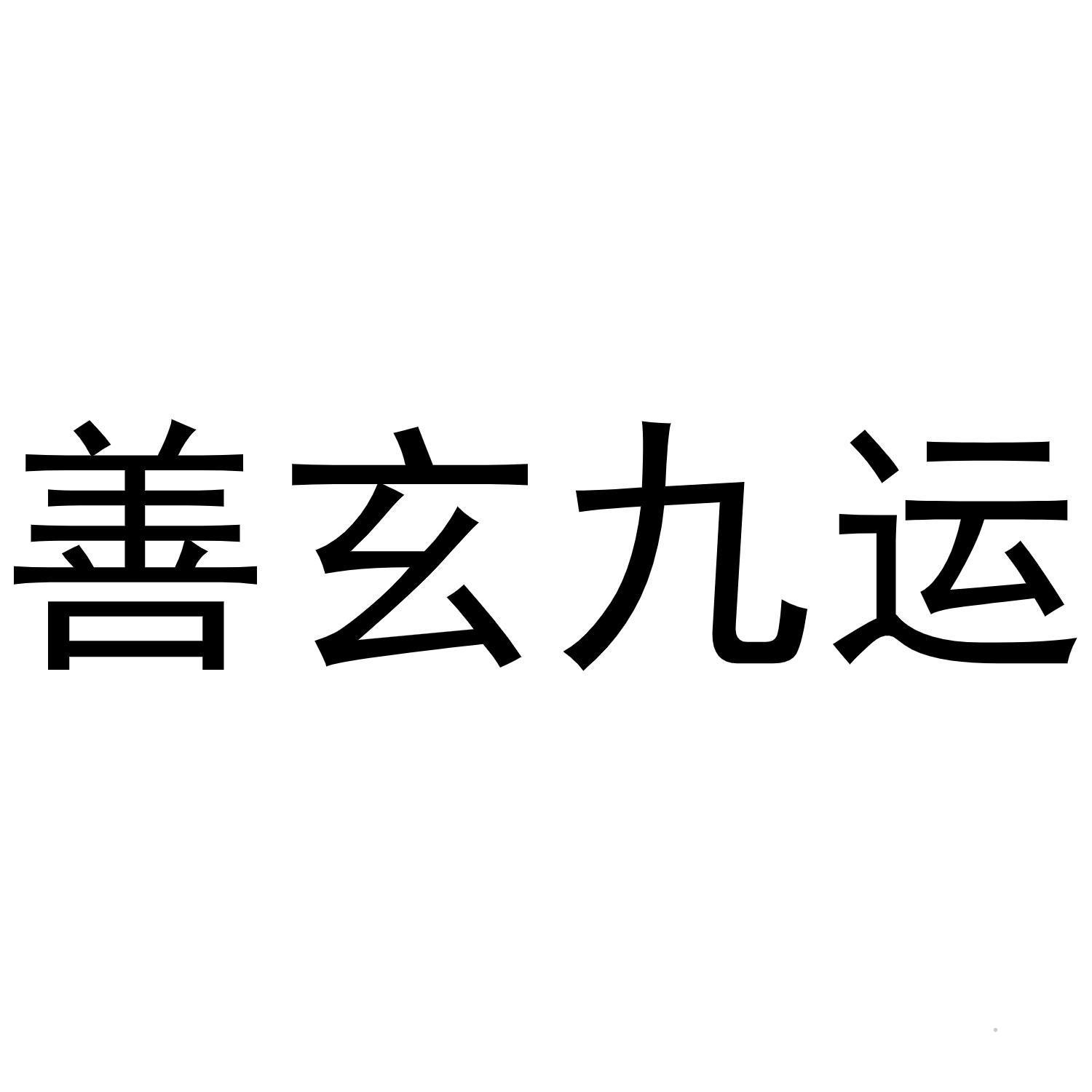 善玄九运logo