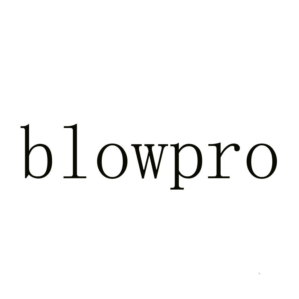 BLOWPRO