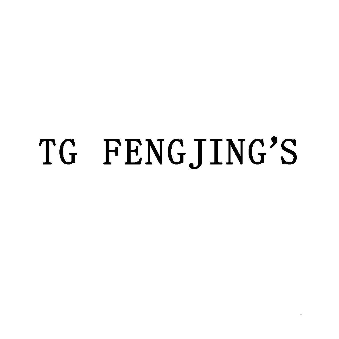 TG FENGJING'S网站服务