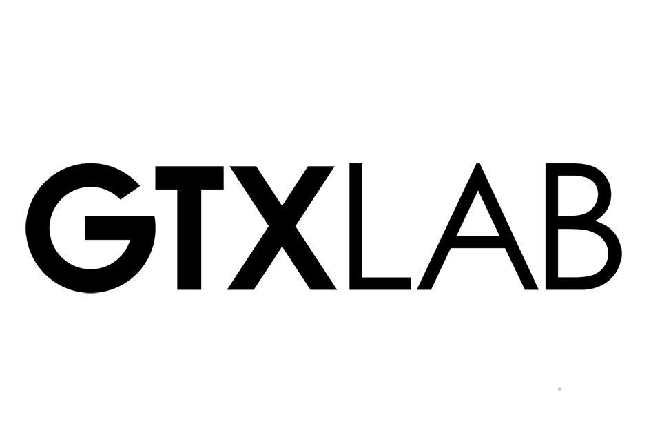 GTXLAB网站服务