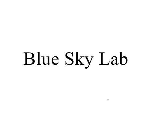 BLUE SKY LAB通讯服务