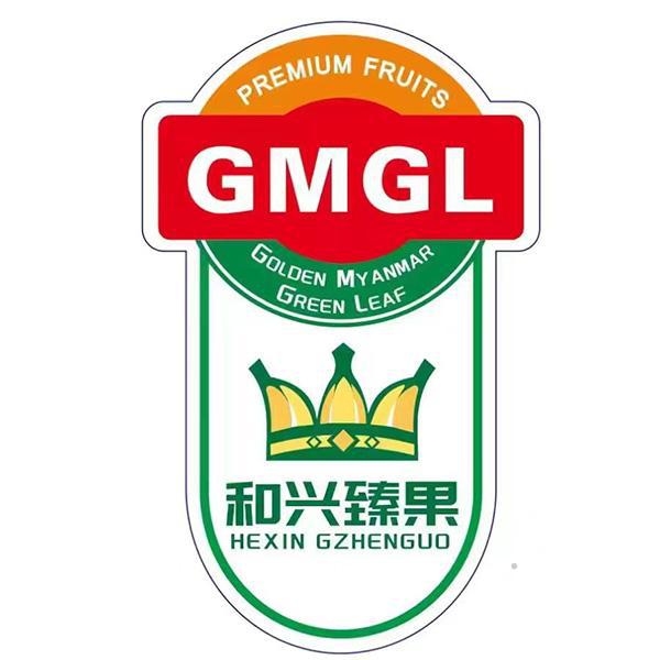 PREMIUM FRUITS GMGL GOLDEN MYANMAR GREEN LEAF HEXIN GZHENGUO 和兴臻果 饲料种籽