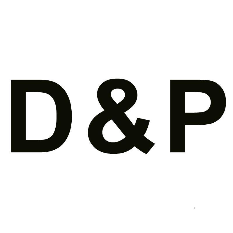 D&P科学仪器