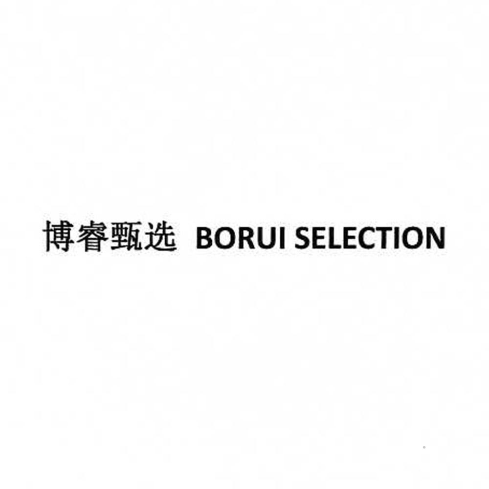 博睿甄选 BORUI SELECTION广告销售