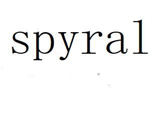 SPYRAL网站服务