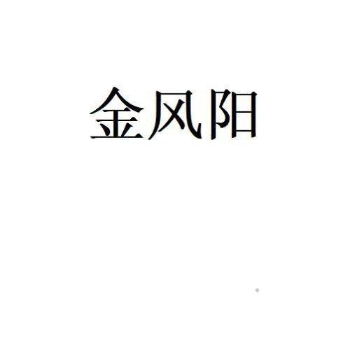 金风阳logo