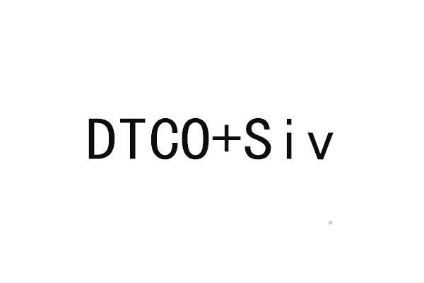 DTCO+SIV