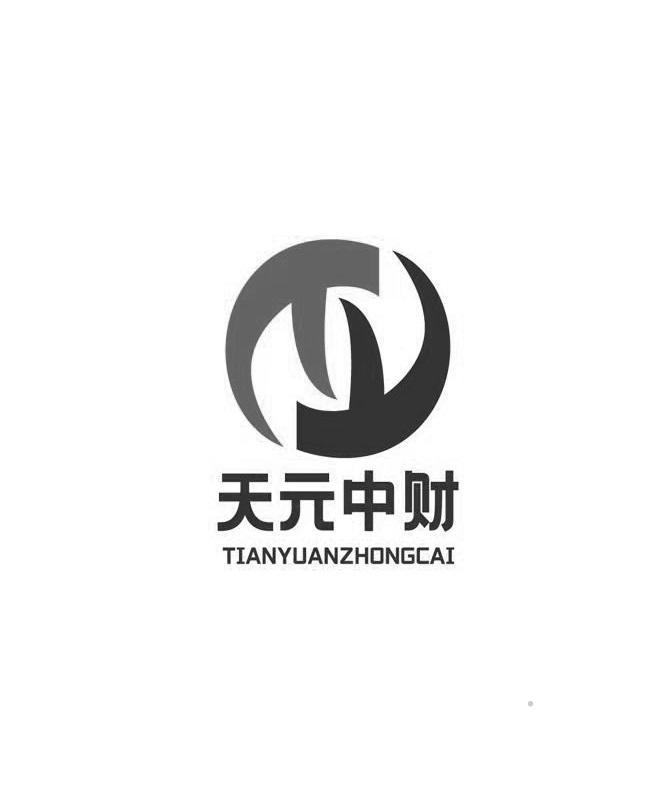 天元中财logo