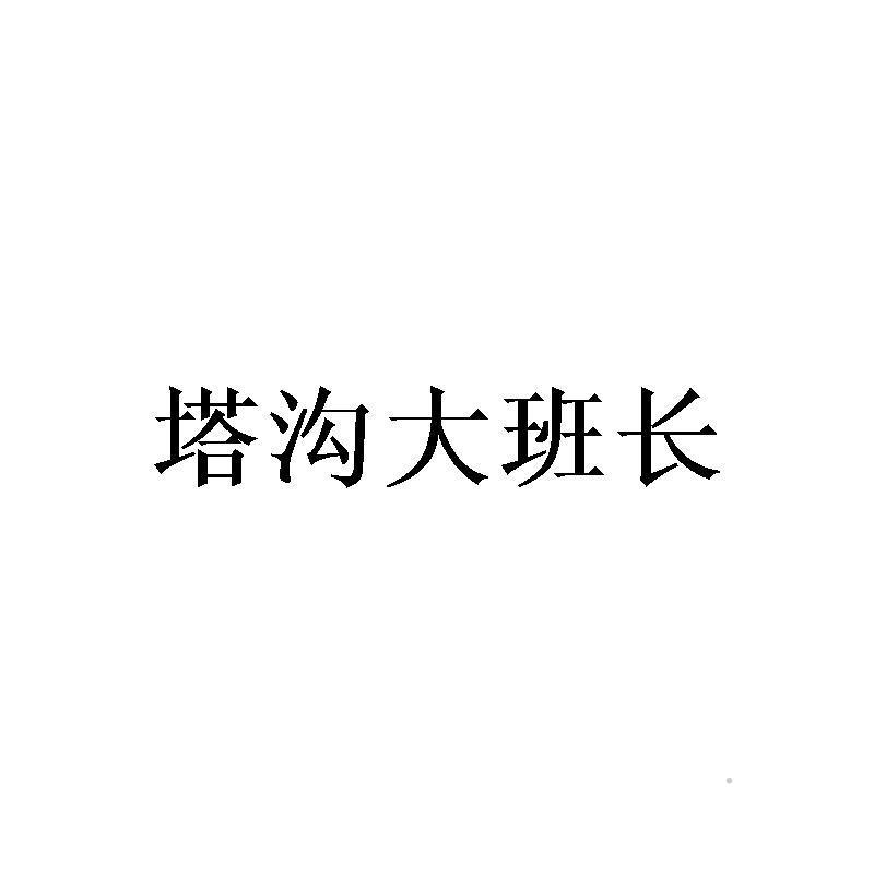 塔沟大班长logo