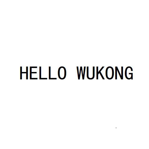 HELLO WUKONG社会服务