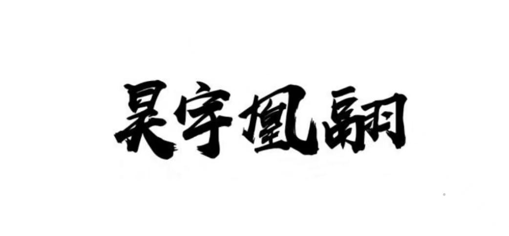 昊宇凰翮logo