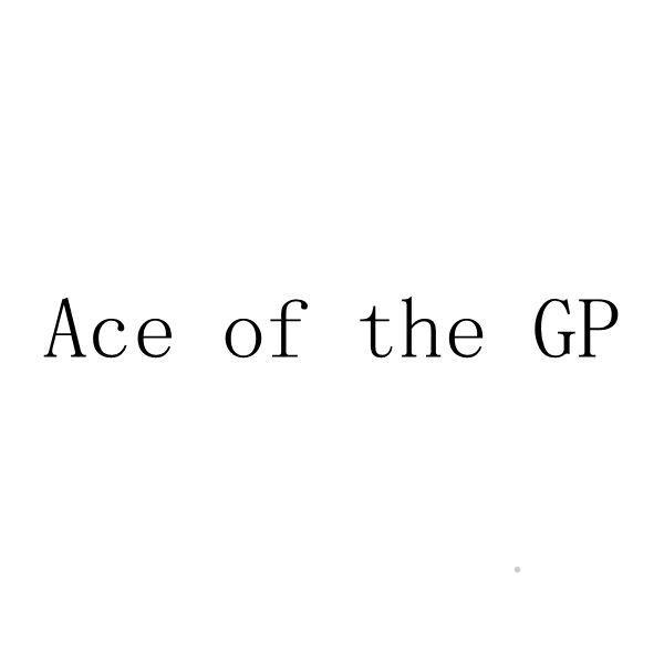 ACE OF THE GP健身器材