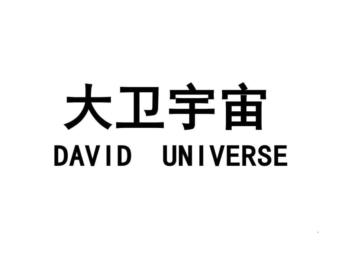 大卫宇宙 DAVID UNIVERSE方便食品