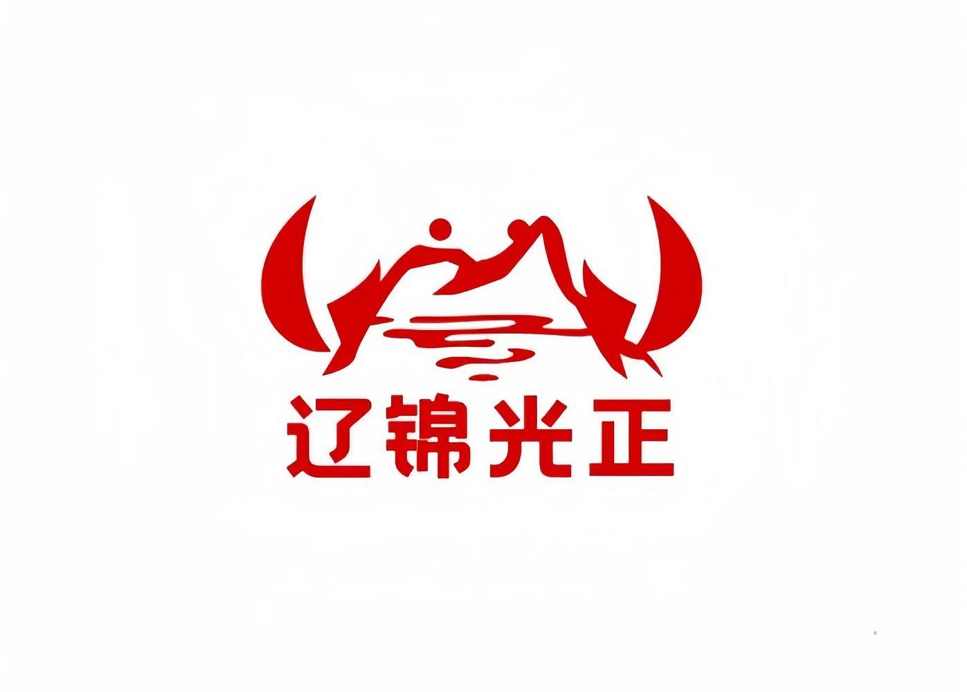 辽锦光正logo
