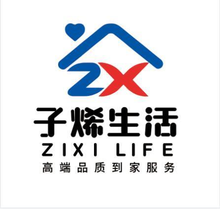 ZX 子烯生活 ZIXI LIFE 高端品质到家服务化学制剂