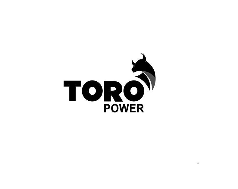 TORO POWER