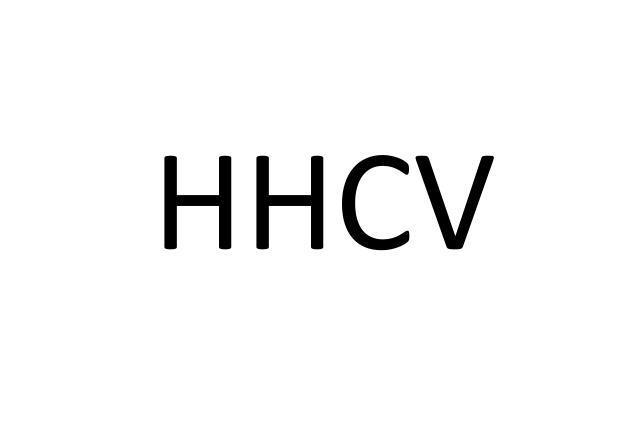 HHCV网站服务