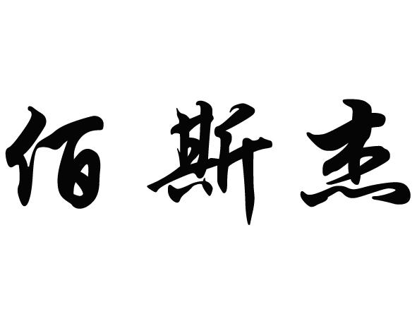 佰斯杰logo