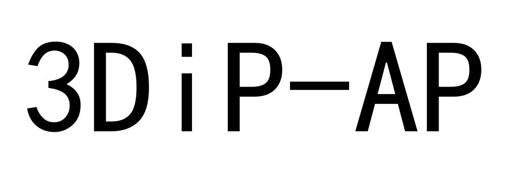 3DIP-AP