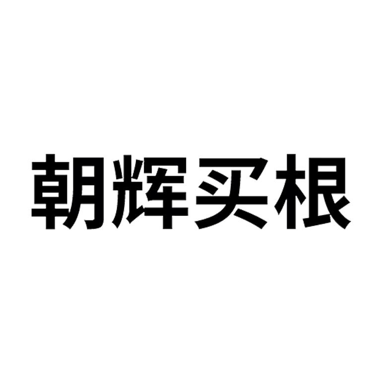 朝辉买根logo