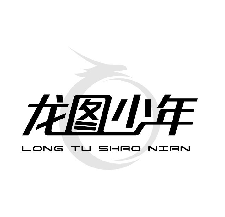 龙图少年logo
