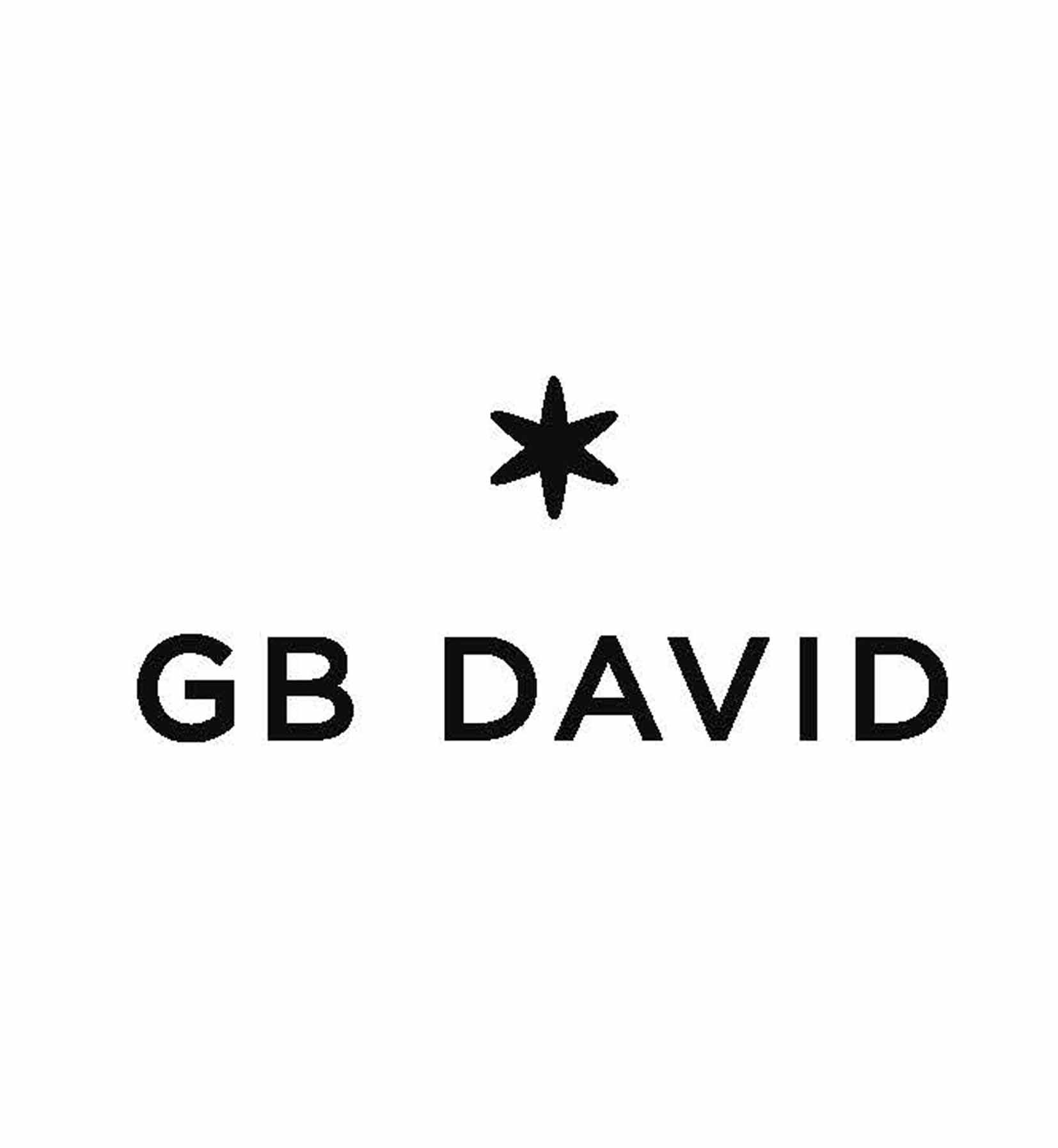 GB DAVID皮革皮具