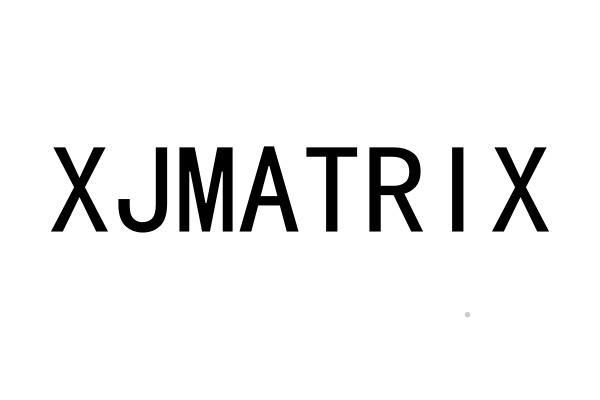 XJMATRIX网站服务